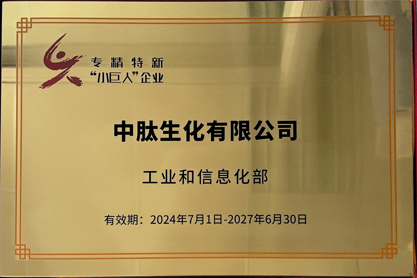 2024年專精特新“小巨人”企業(yè)